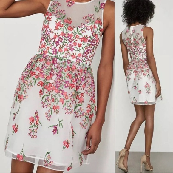 BCBG MaxAzria Gardenia Embroidered Tule Sleeveless Round Neck Dress Size 4 - Picture 3 of 9